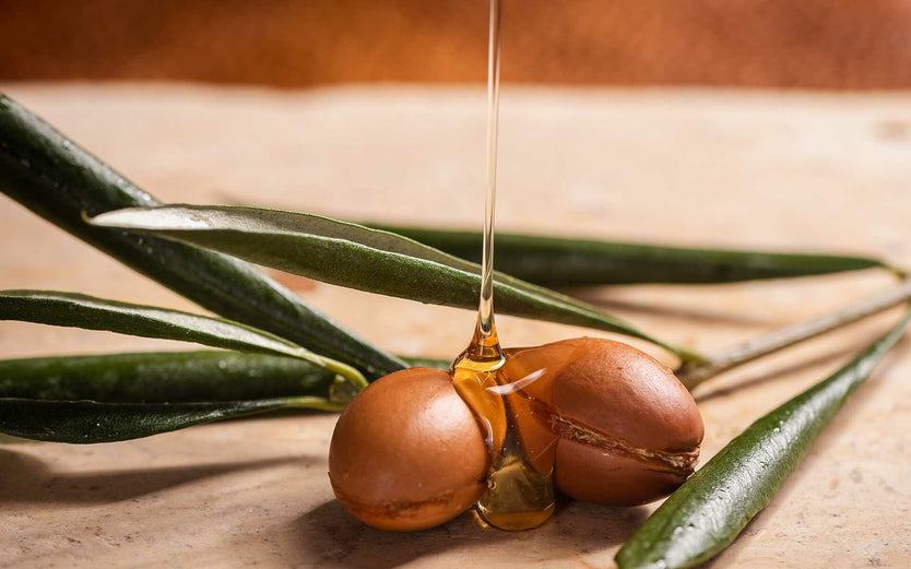 Argan oil and argan nut, used in skincare