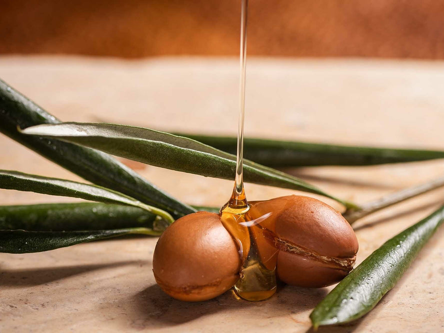 Argan oil and argan nut, used in skincare