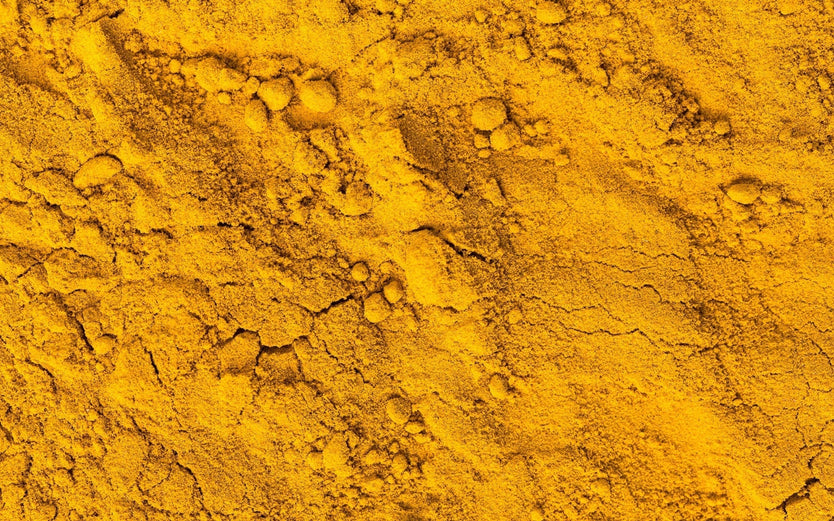 Berberine Powder