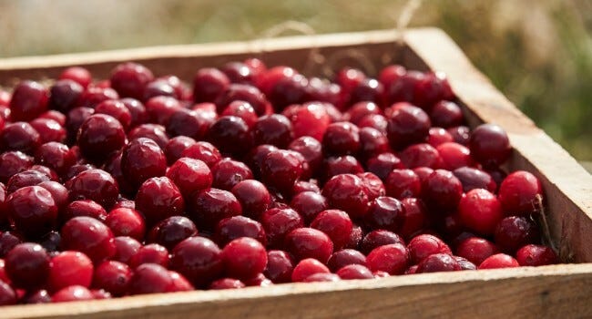 Fresh cranberries in a wooden box
