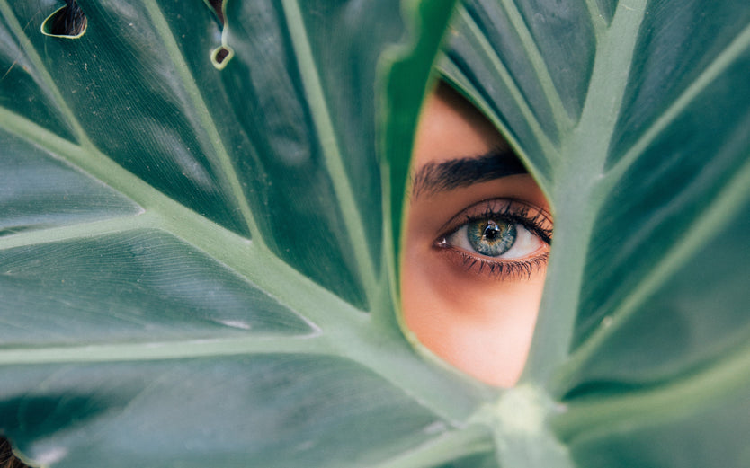 Woman looking through the leaves of a plant