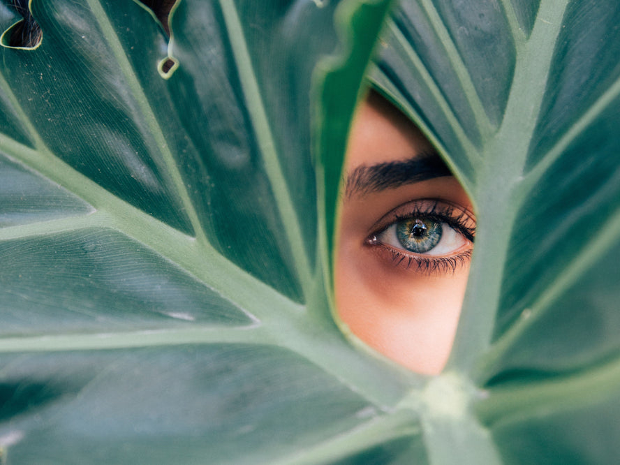 Woman looking through the leaves of a plant