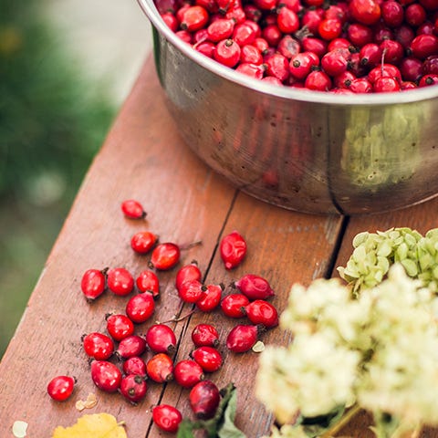 Rose hips in a pot on a table