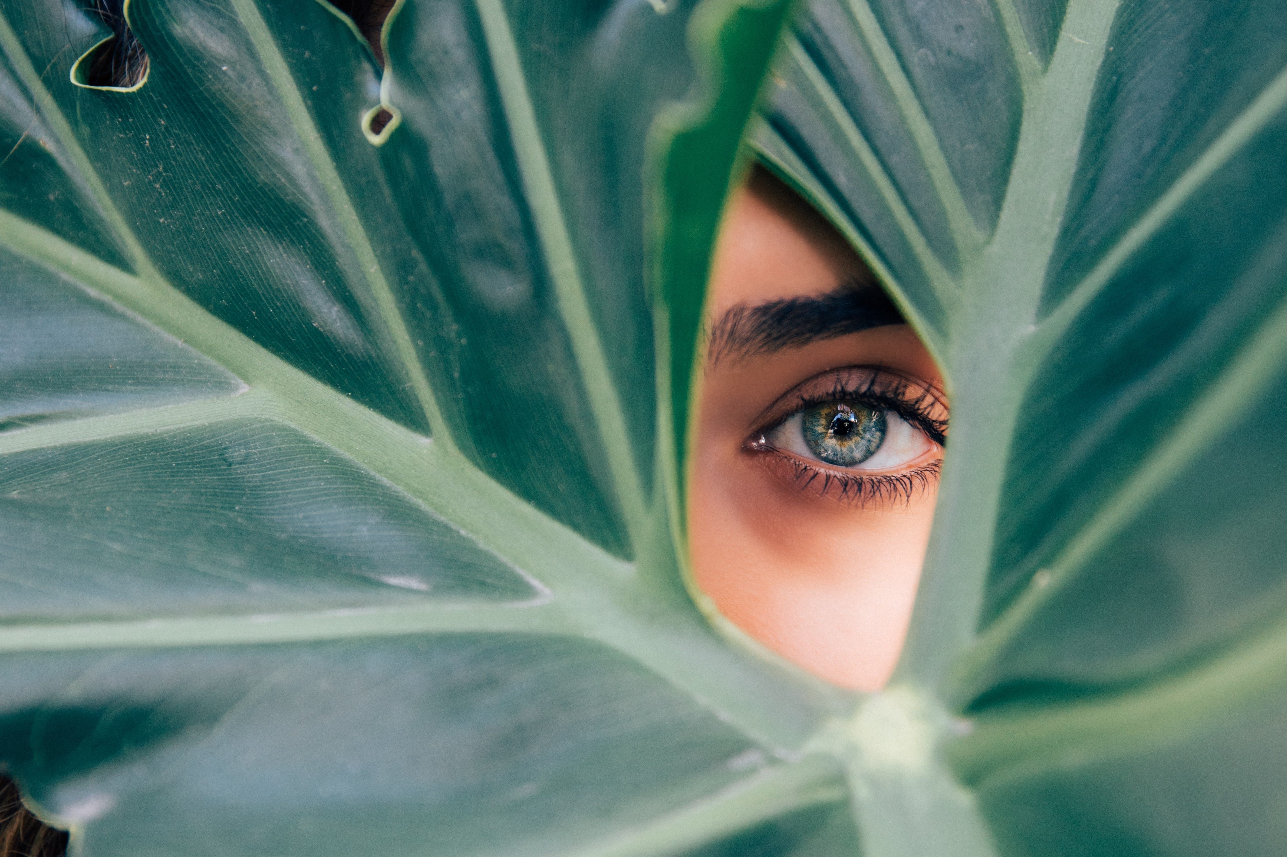 Woman looking through the leaves of a plant