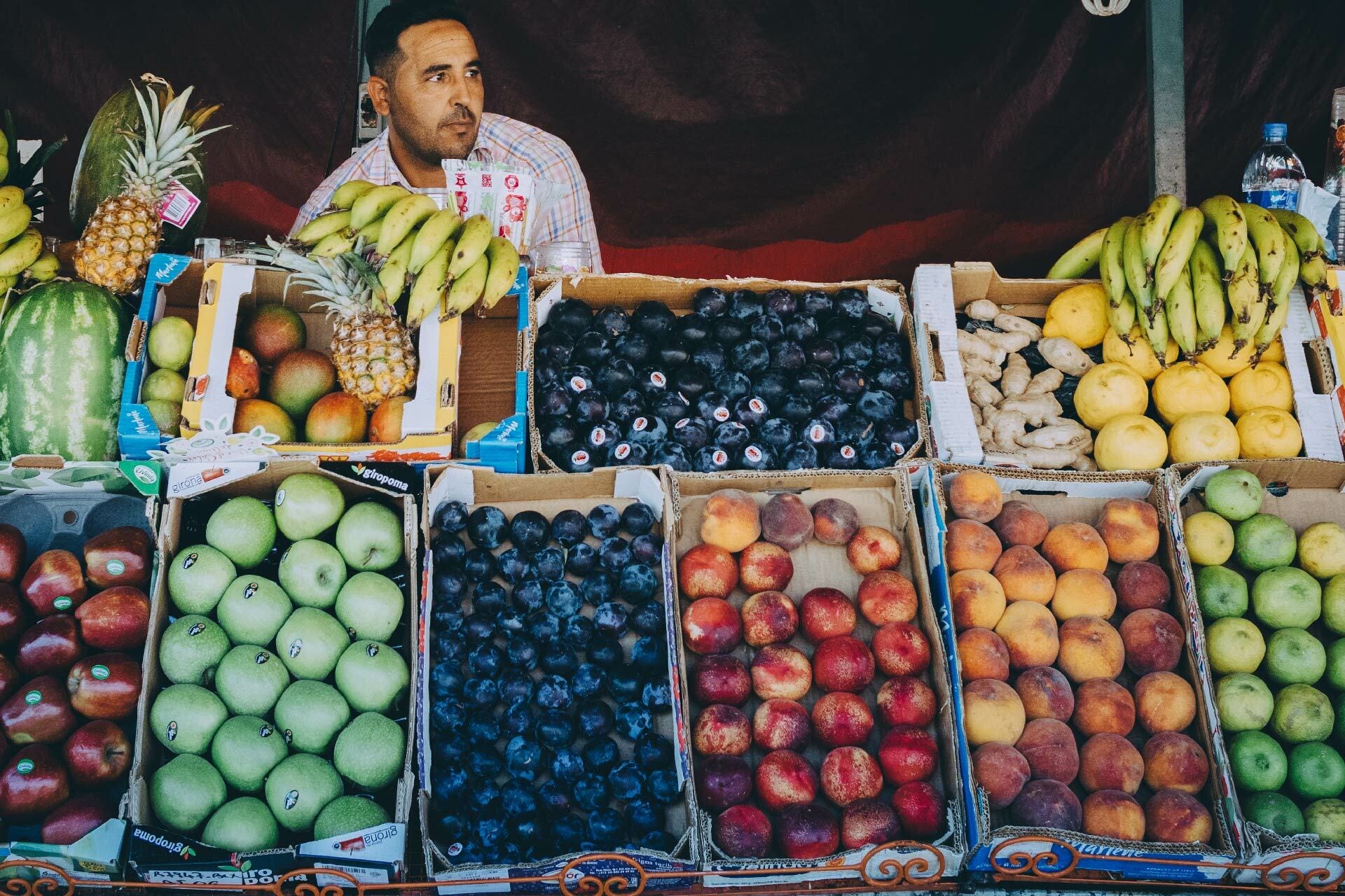 Fresh fruit for gut health